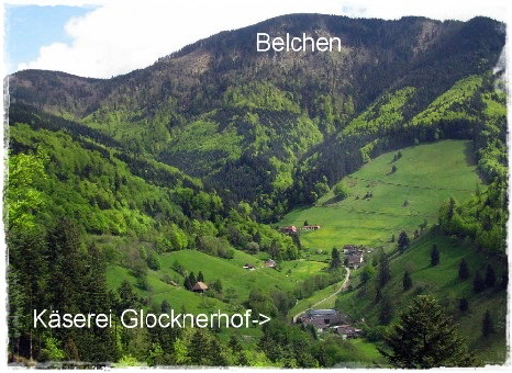 Kaltwasser / Foto M. Lange, Münstertal
